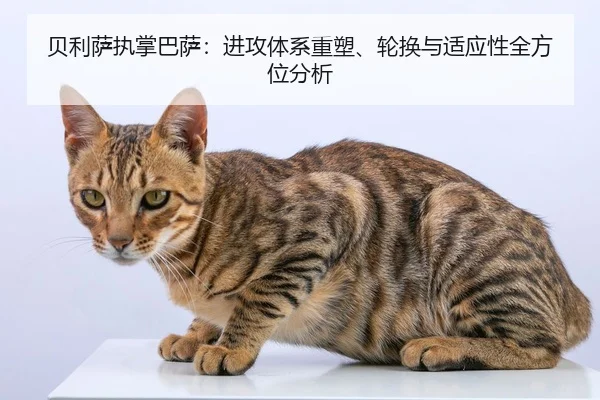 贝利萨执掌巴萨：进攻体系重塑、轮换与适应性全方位分析